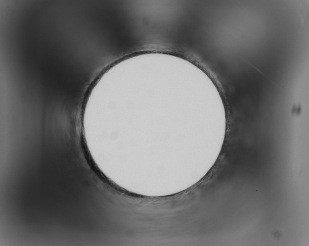 X0000103940011200809261736