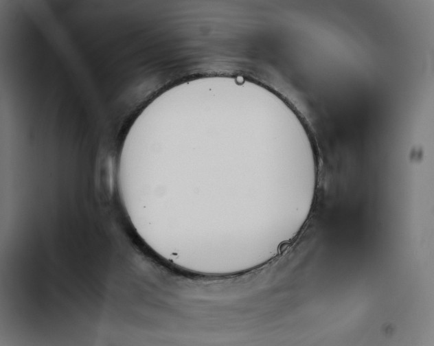 X0000103940013200809261736