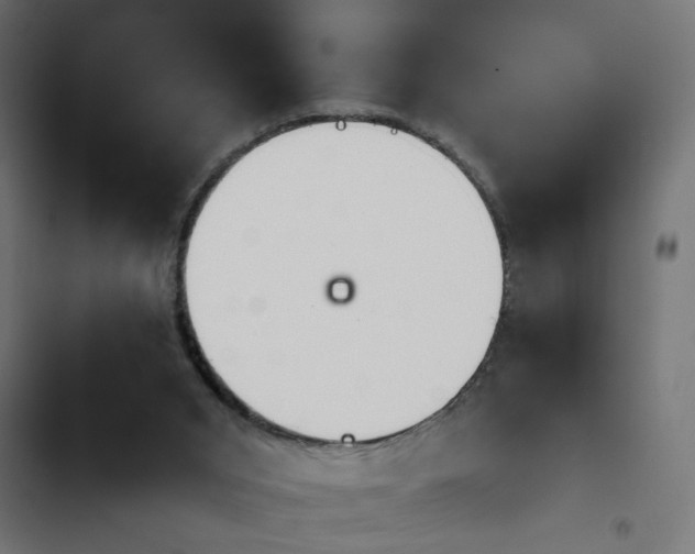 X0000103940015200809261736