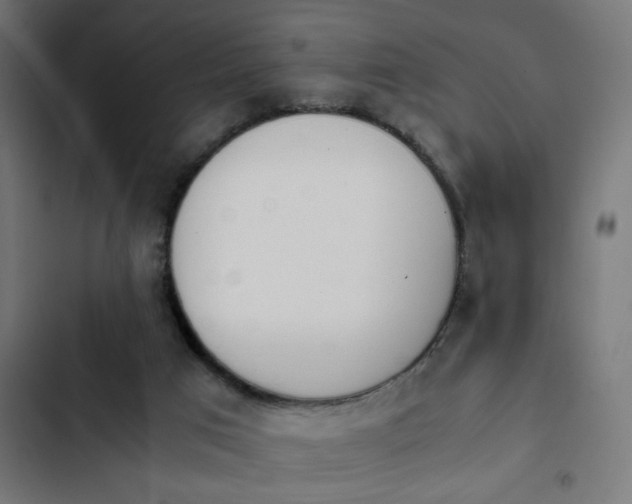 X0000103940017200809261736