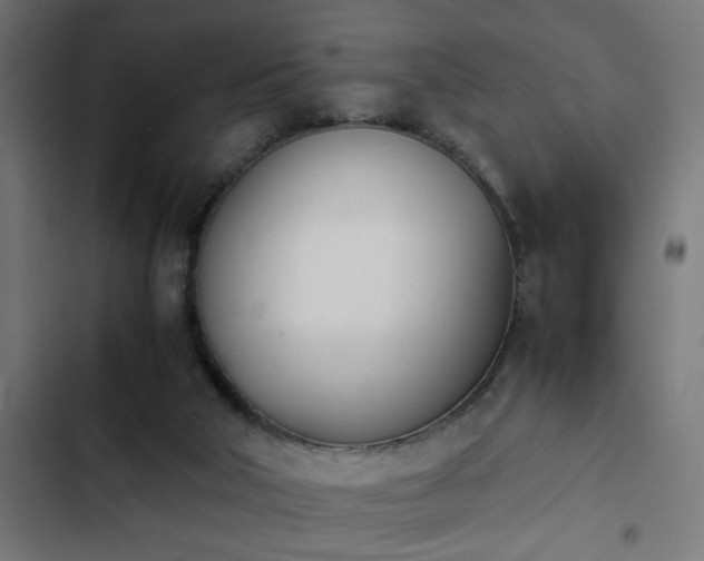 X0000103940018200809261736