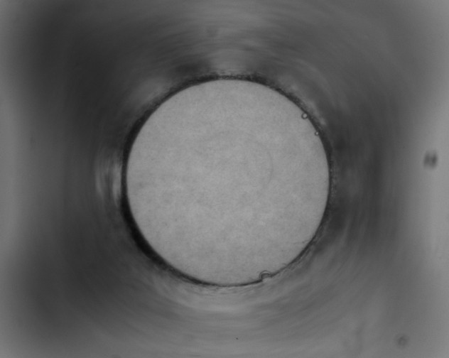 X0000103940019200809261736