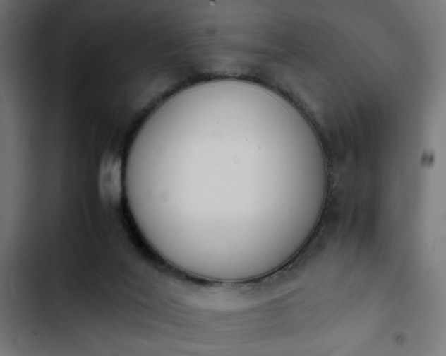 X0000103940020200809261736