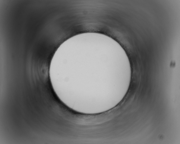 X0000103940021200809261735