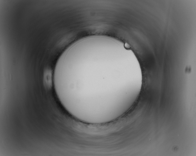 X0000103940022200809261735