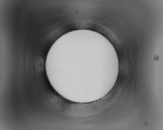 X0000103940025200809261735