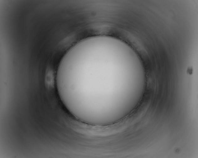 X0000103940026200809261735