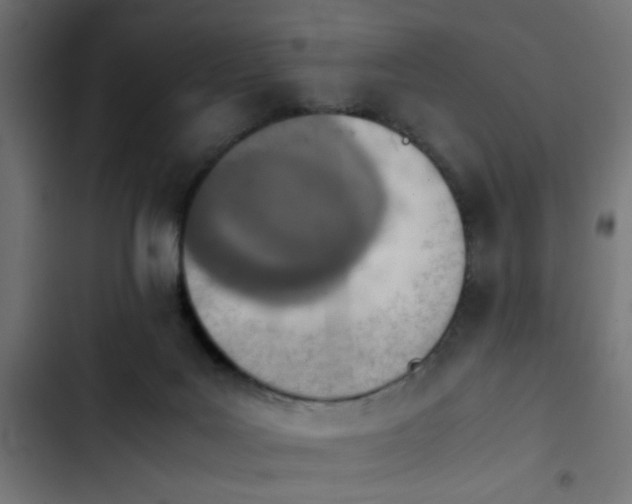 X0000103940027200809261735