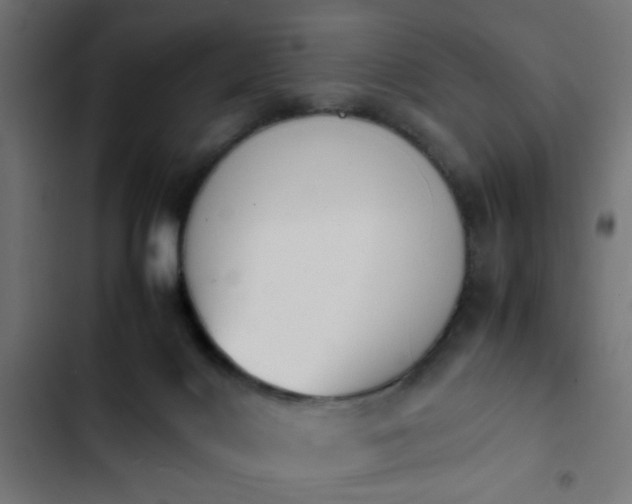 X0000103940028200809261735