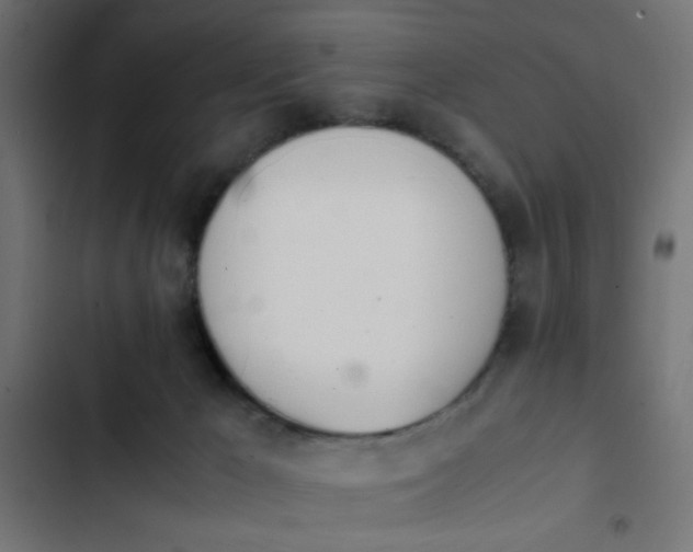 X0000103940029200809261735