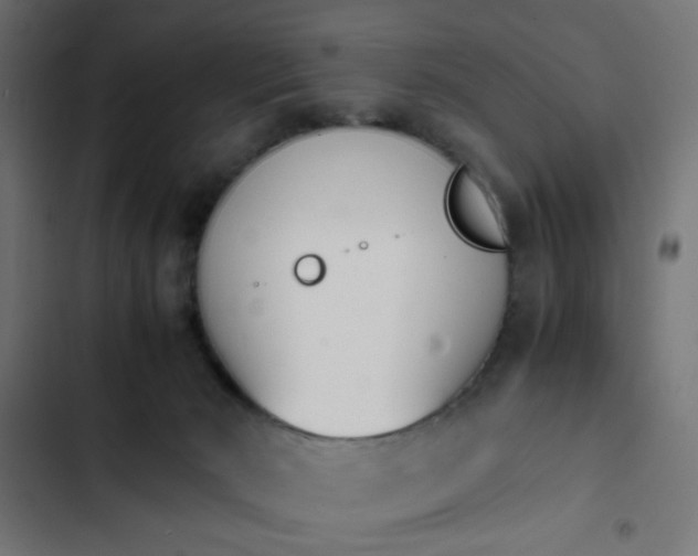 X0000103940030200809261735