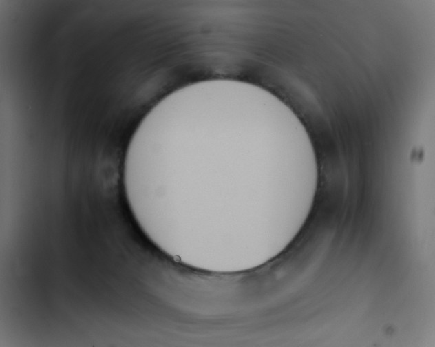 X0000103940032200809261735