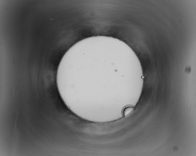 X0000103940033200809261735