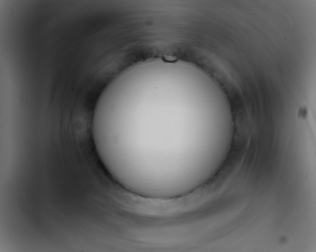 X0000103940034200809261735