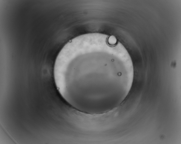 X0000103940035200809261735