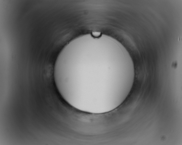 X0000103940036200809261735