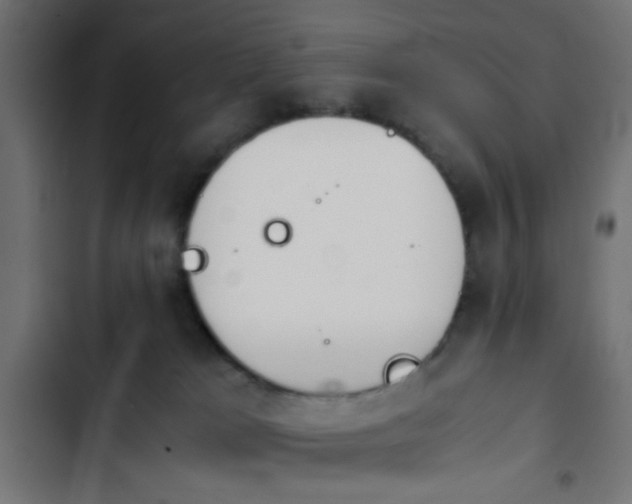 X0000103940037200809261735