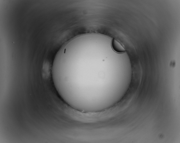 X0000103940038200809261735