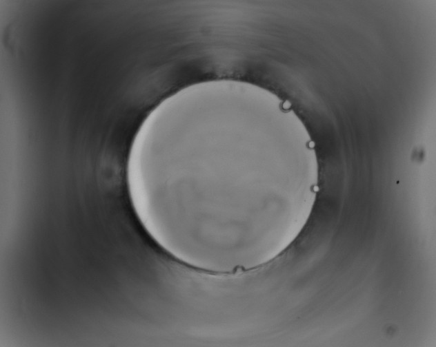 X0000103940039200809261735