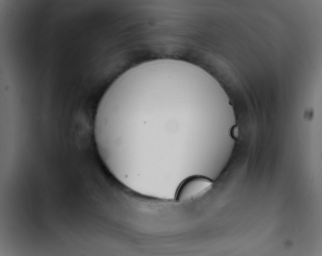 X0000103940040200809261735