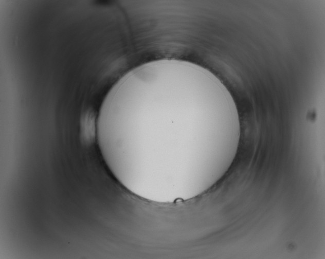 X0000103940042200809261735