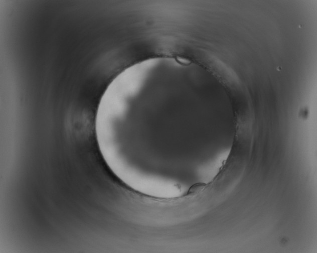 X0000103940043200809261735