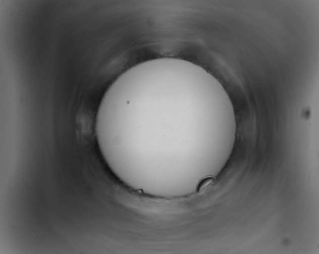 X0000103940044200809261735