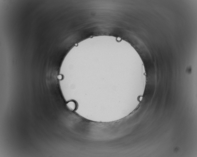 X0000103940045200809261735