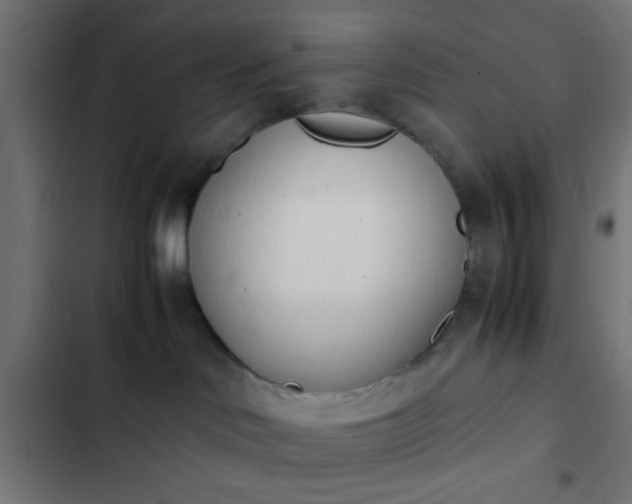 X0000103940046200809261735