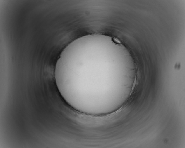 X0000103940048200809261735