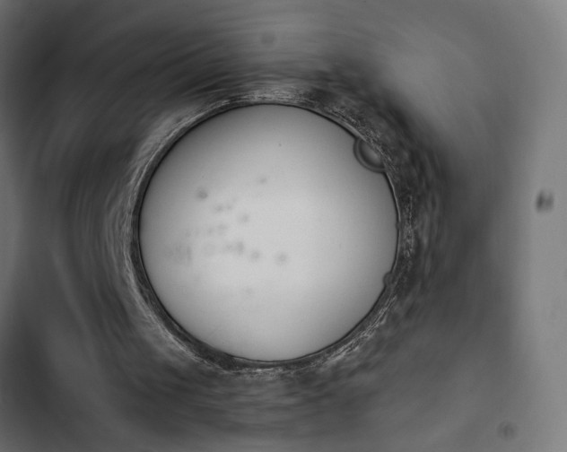 X0000103940049200809261734