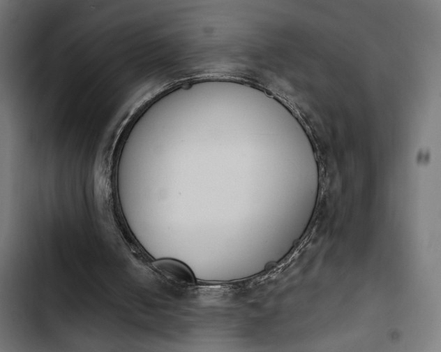 X0000103940050200809261734