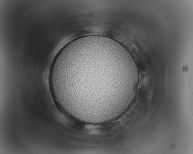 X0000103940051200809261734