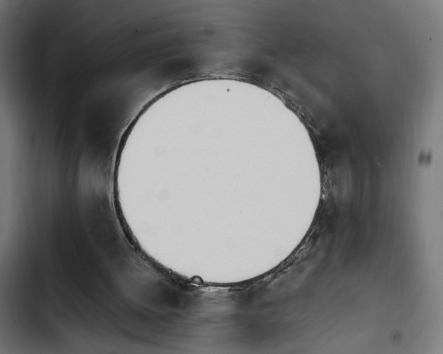 X0000103940052200809261734