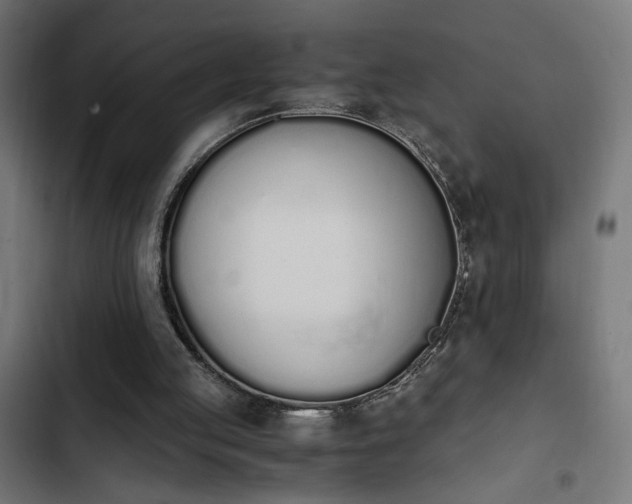 X0000103940053200809261735