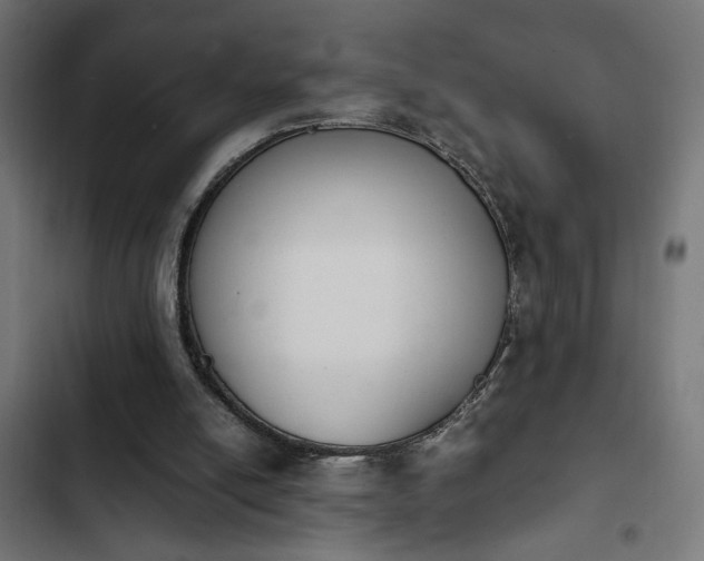 X0000103940054200809261735