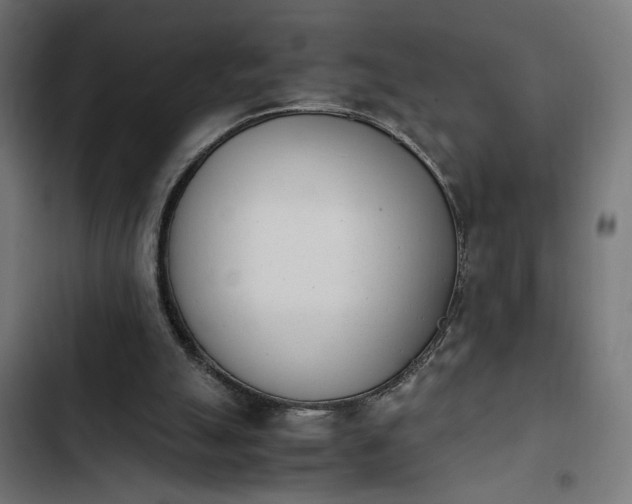 X0000103940055200809261735