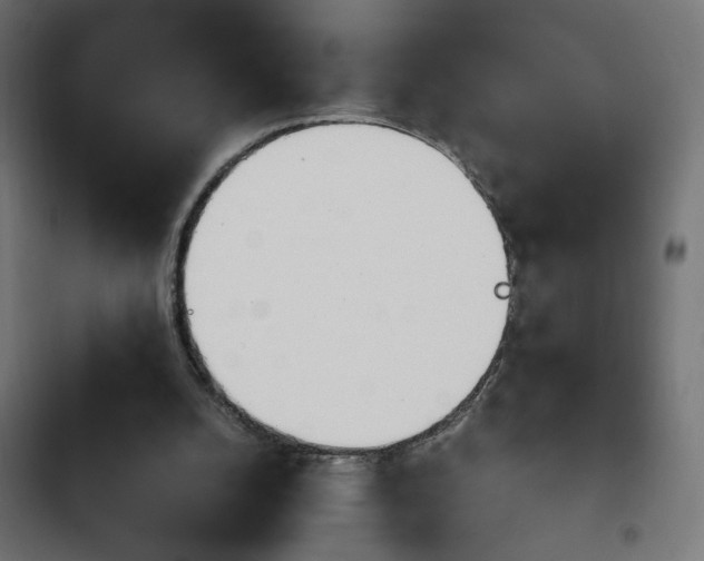 X0000103940056200809261735