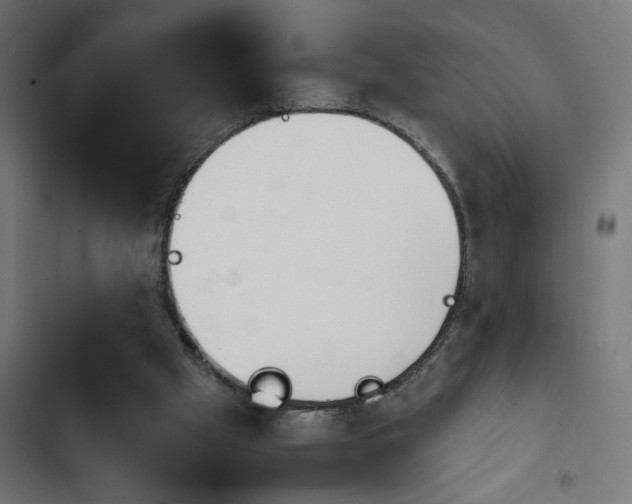 X0000103940057200809261735