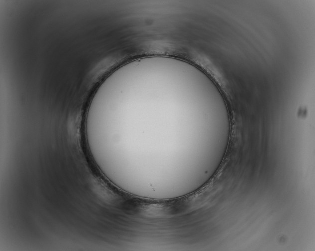 X0000103940058200809261735