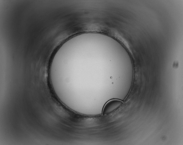 X0000103940059200809261735