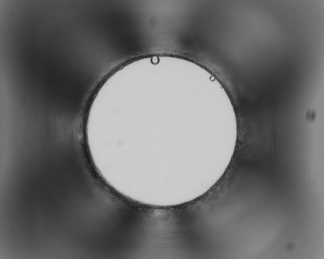 X0000103940060200809261735