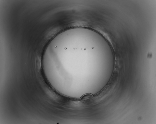 X0000103940061200809261735