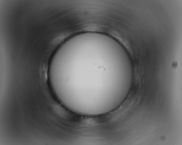 X0000103940062200809261735