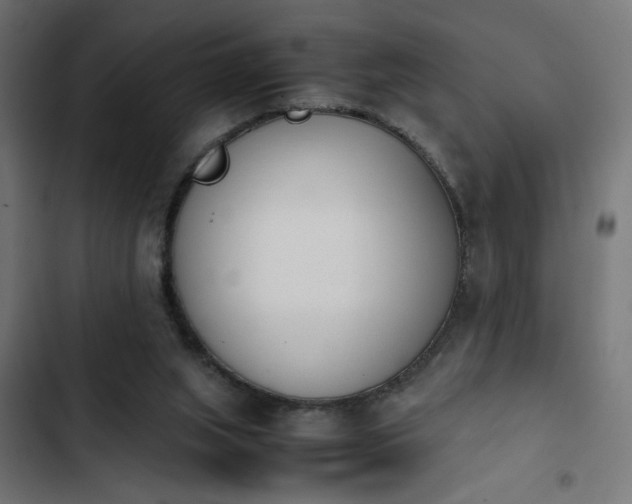 X0000103940063200809261735