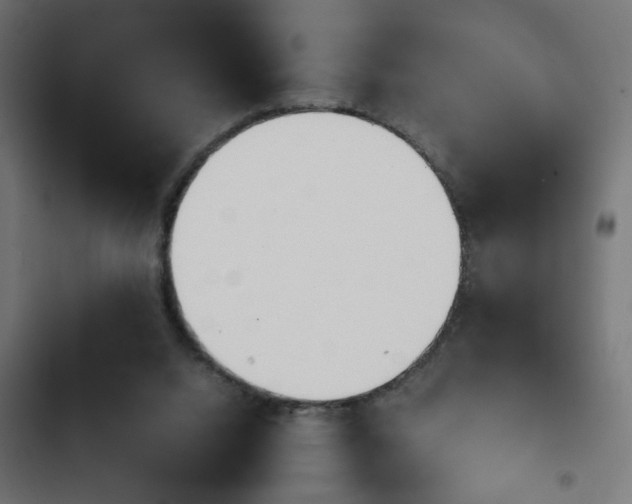 X0000103940064200809261735