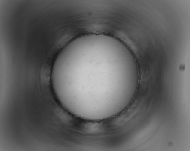 X0000103940065200809261735