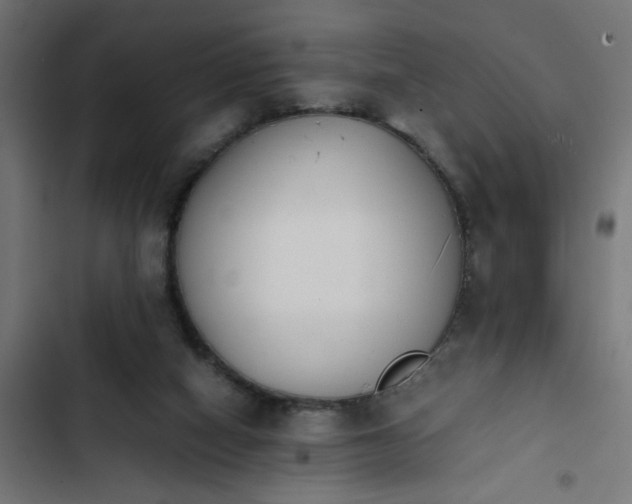 X0000103940066200809261735