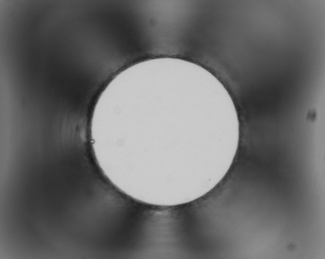 X0000103940068200809261735