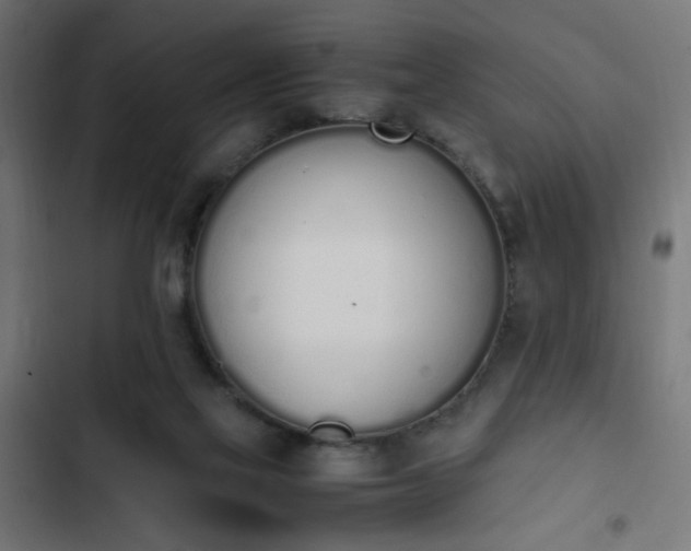 X0000103940069200809261735